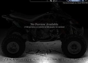 Graphics For Honda Trx250R "Hell Ride" Side Panel   Natural / Black For Oem Parts - Darkside Studio Arts LLC.